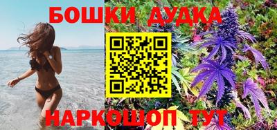 МДПВ Будённовск