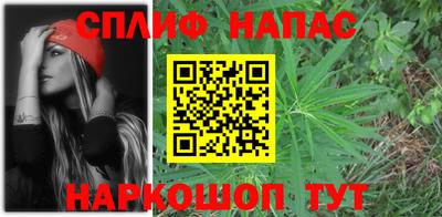 МДПВ Будённовск