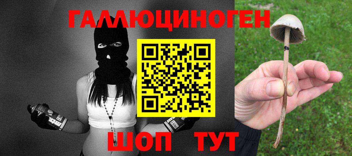 Галлюциногенные грибы мухоморы  Псилоцибиновые грибы Cubensis  Вход с VPN  где продают   Кореновск 